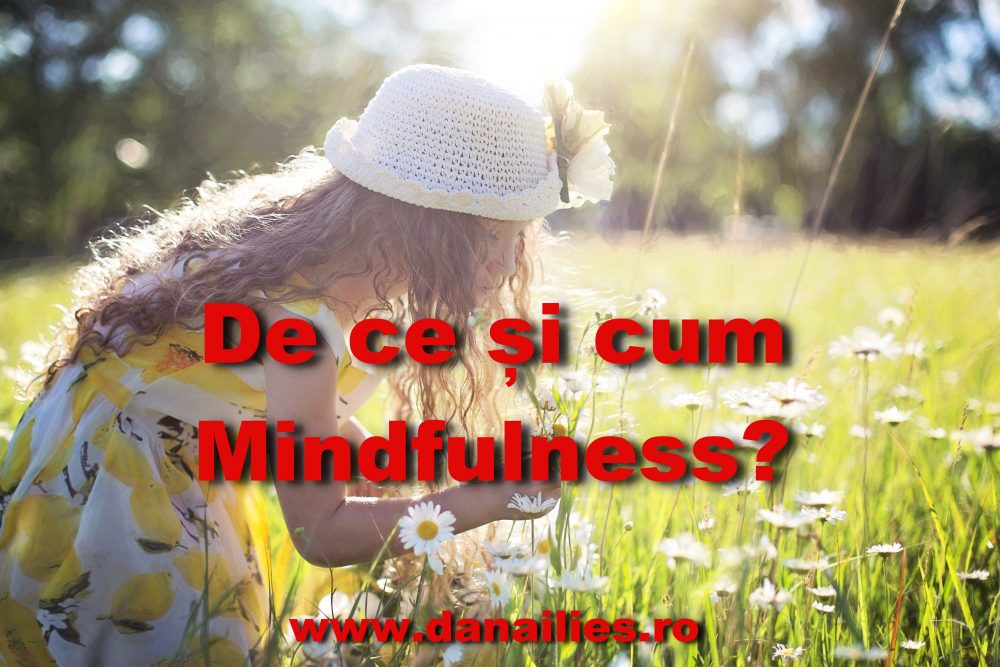 Read more about the article Despre Mindfulness