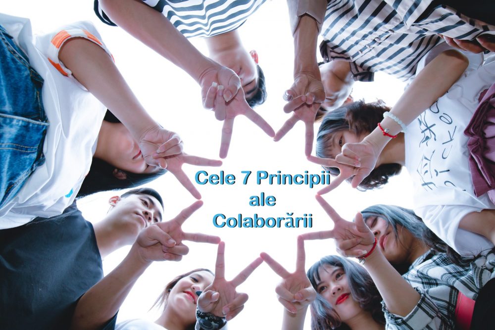 Read more about the article Cele 7 Principii ale Colaborării